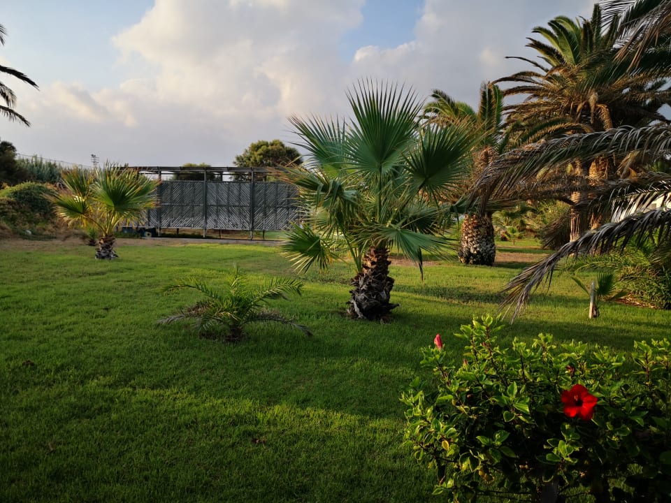 Gartenanlage Civitel Creta Beach