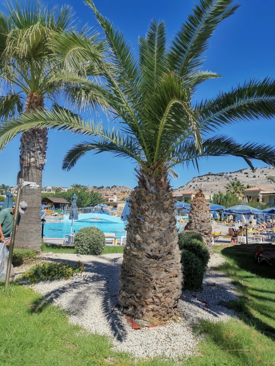 Pool Lindos Princess Beach Resort & Spa