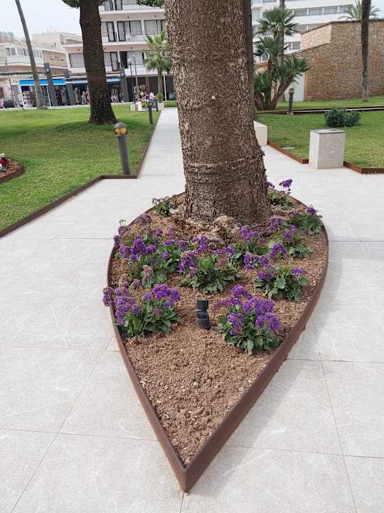 Außenansicht CM Playa del Moro