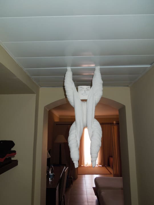 Jeden Tag was neues! Absolut nett! Jaz Dar EL Madina