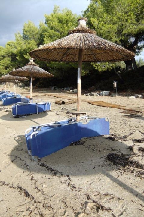 Schirm und Liegen Blue Dolphin Resort Hotel
