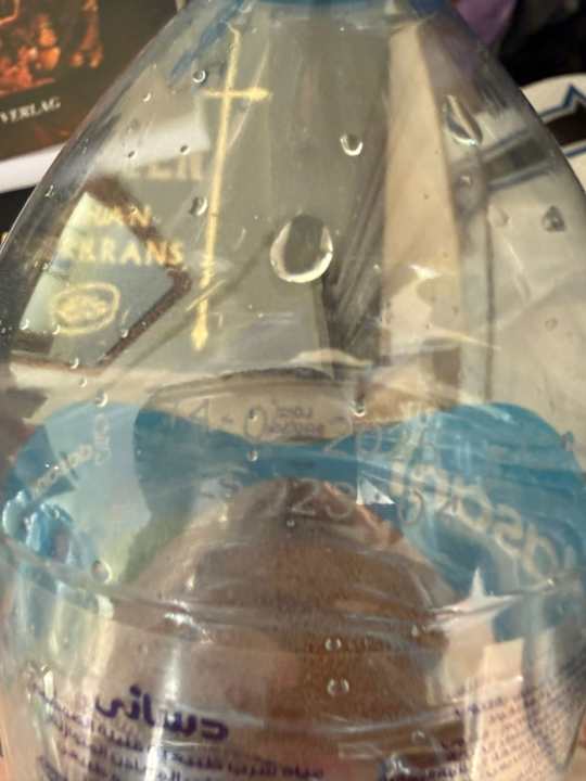 Gastro Old Palace Resort Sahl Hasheesh