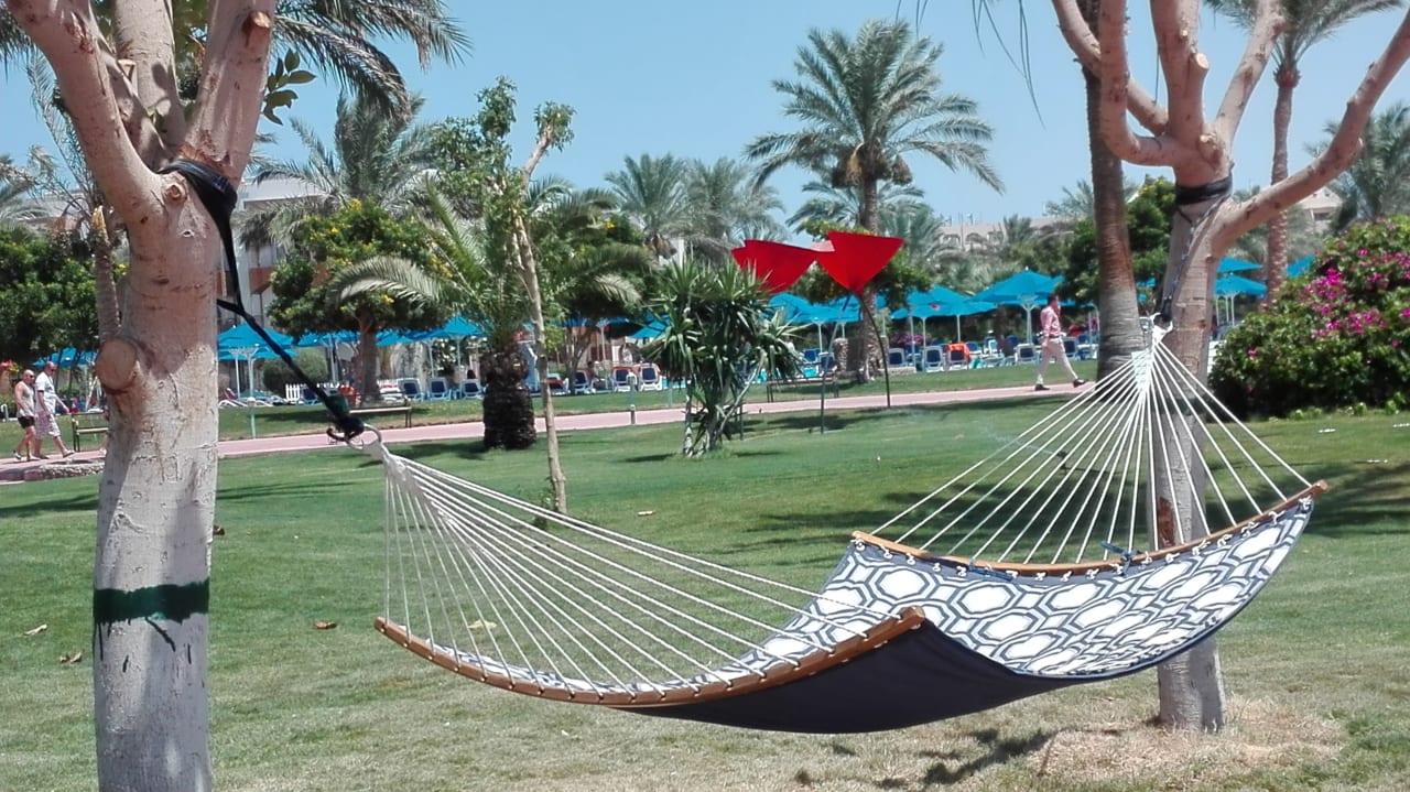 Sport & Freizeit Desert Rose