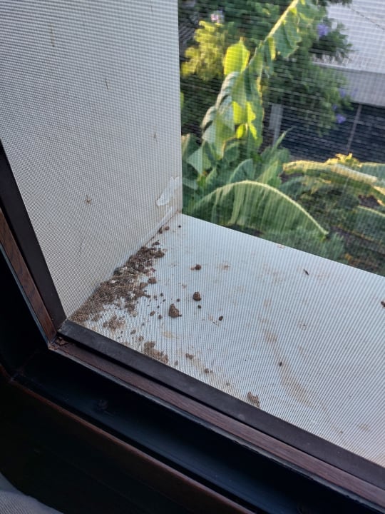 Zimmer Latanya Park Resort