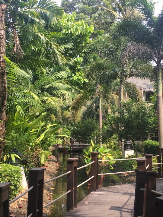 Gartenanlage Centara Koh Chang Tropicana Resort