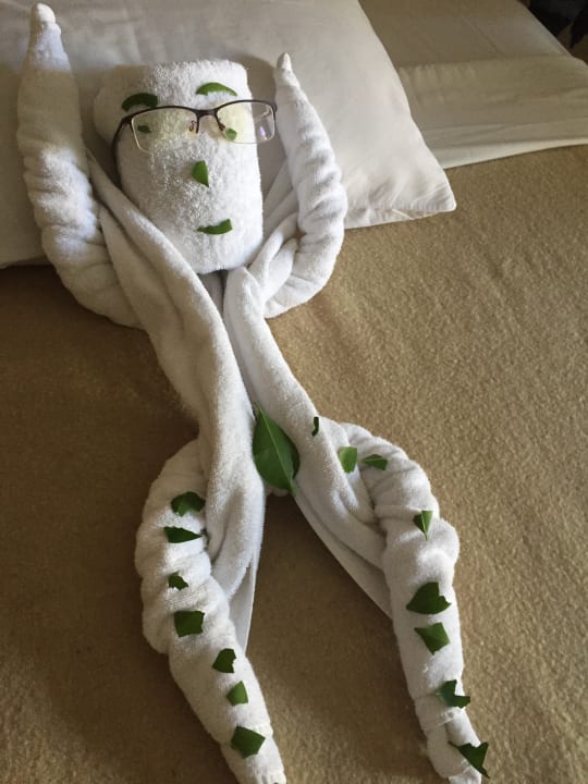 Zimmer Regina Resort and Aqua Park Hurghada