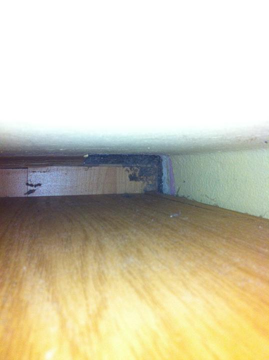 Zwischen Wand und Nachtkästchen Dreck Gästehaus Atzgersdorf