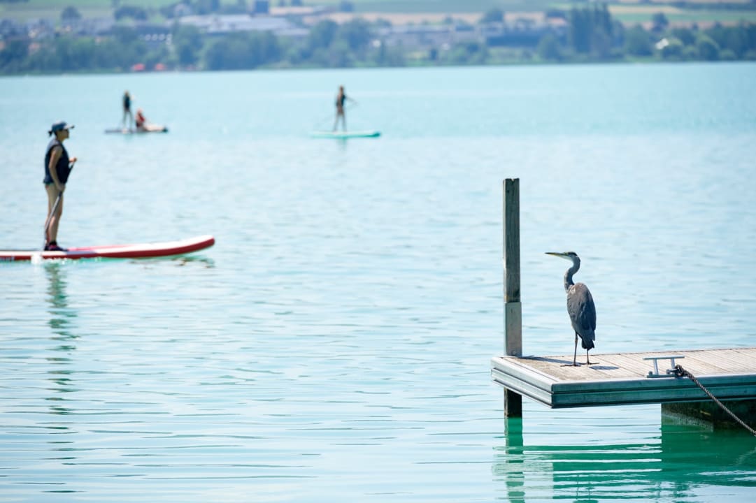 Ausblick Sonne Seehotel