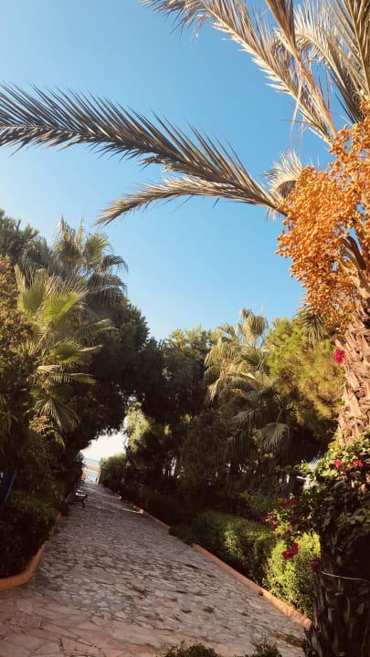 Gartenanlage Club Turtas Beach Hotel