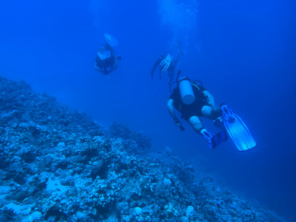 Strand Ghazala Beach