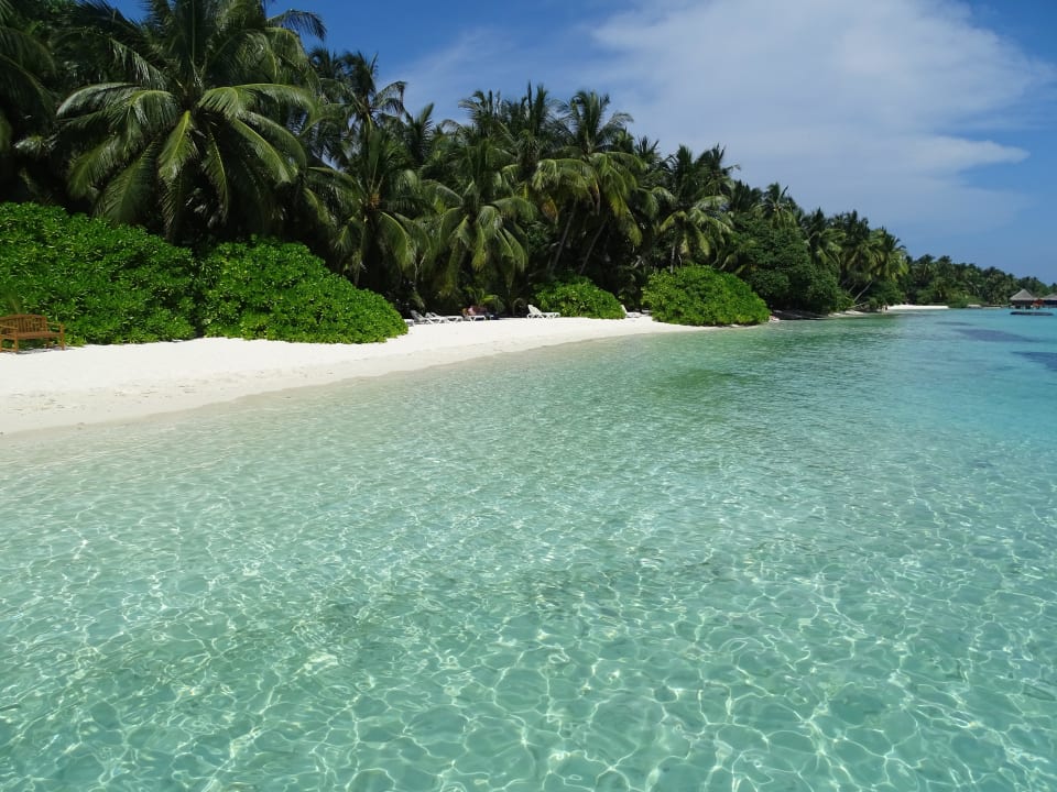 Traumhaft  Kuramathi Maldives