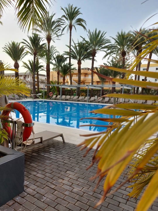 Pool Hotel Riu Palace Palmeras