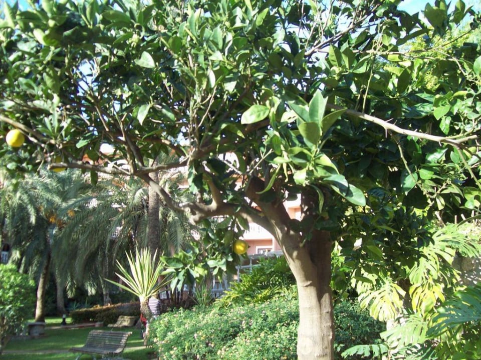 Hotel Siroco Hotel Best Siroco