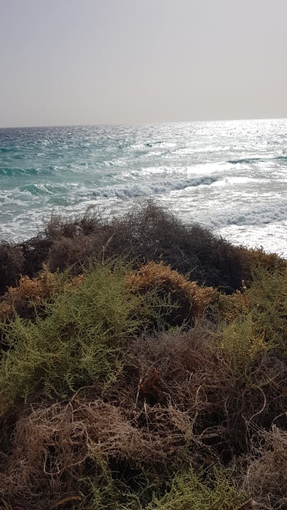 Strand MUR Hotel Faro Jandia & Spa Fuerteventura