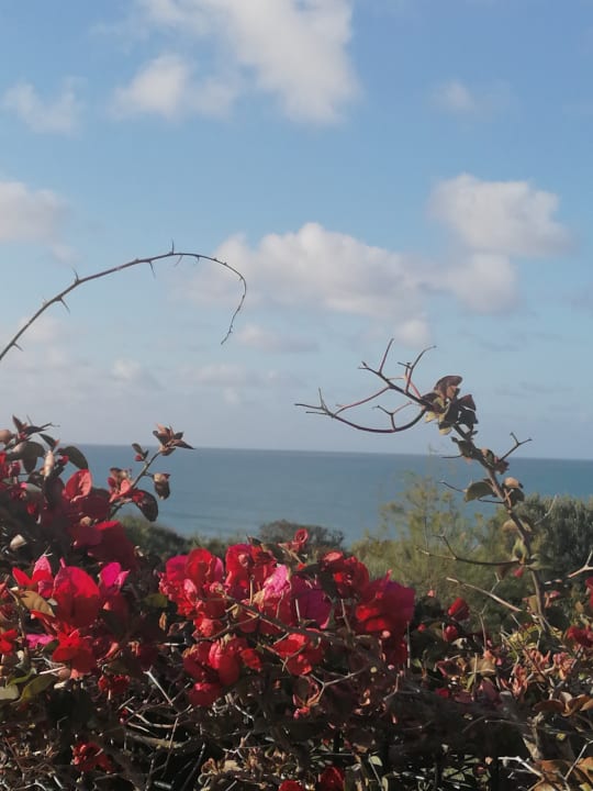 Ausblick Hipotels Gran Conil Hotel
