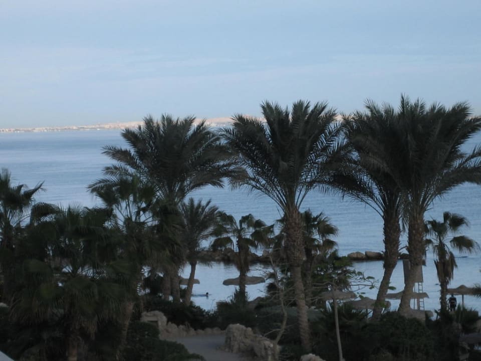 Blick von Zimmer 5113 Pickalbatros Citadel Resort