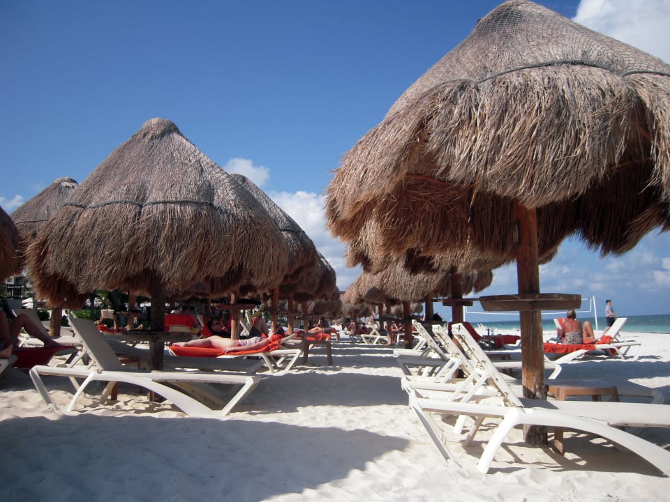 Strandliegen mit Sonnenschirmen Dreams Riviera Cancun Resort & Spa