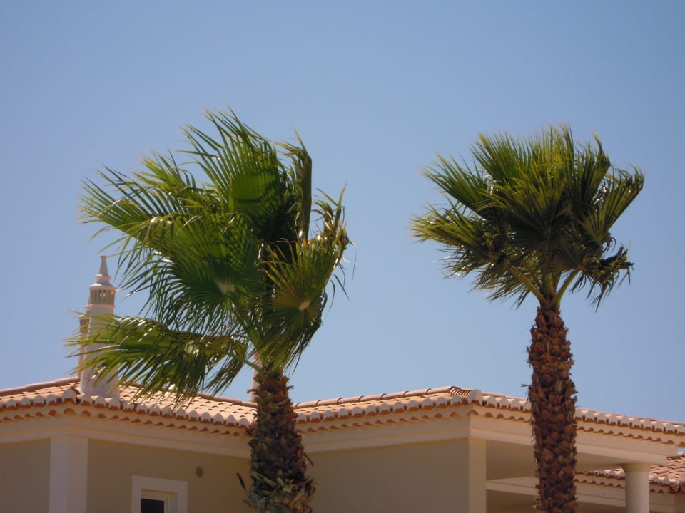 Palmen Hotel Clube Porto Mos