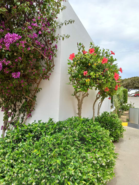 Gartenanlage Hotel Riu Palace La Mola