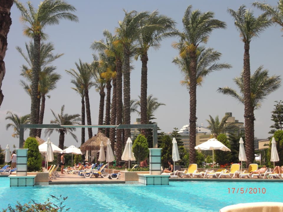 Palmen und Pool, ein Traum! Hotel Delphin Diva