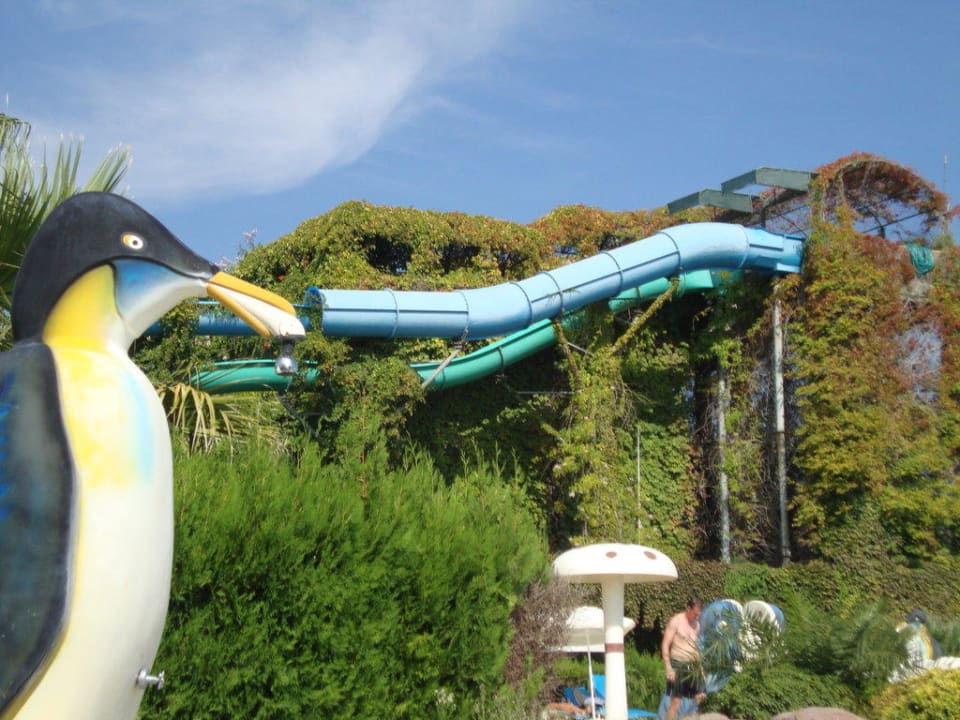 Aquapark Ali Bey Club