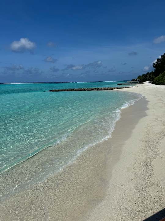 Strand Summer Island Maldives