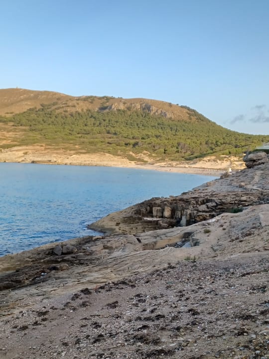 Strand Zafiro Cala Mesquida