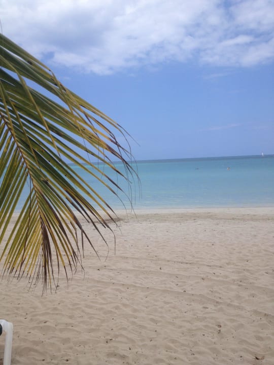 Am Strand Blady Bay Hotel Riu Palace Tropical Bay