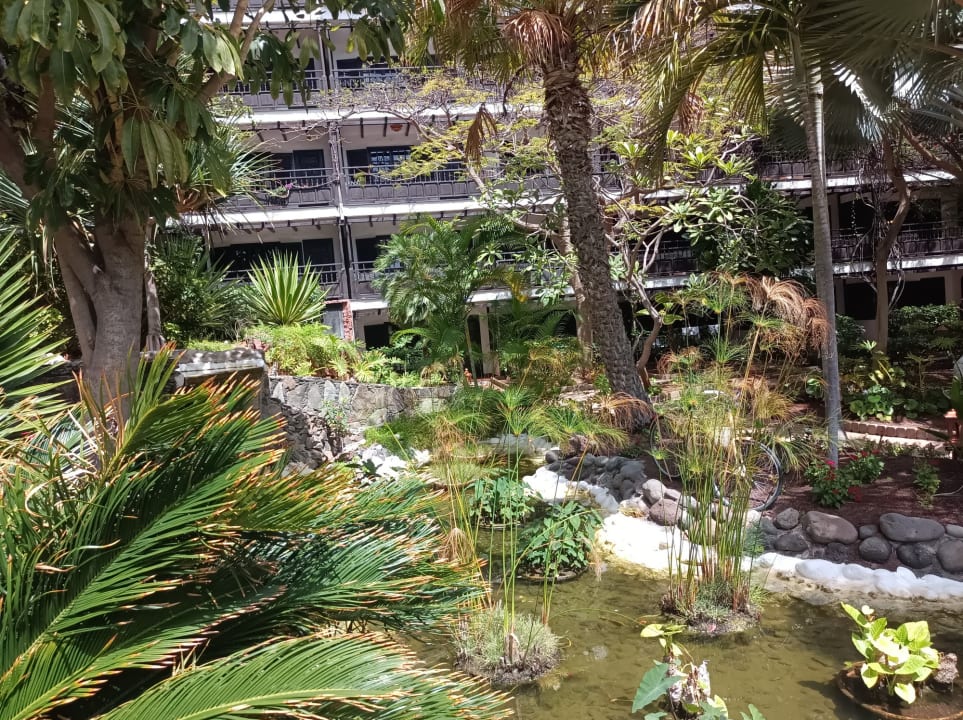Gartenanlage Hotel Parque Tropical