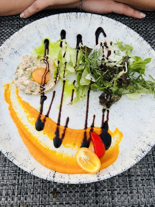 Gastro Paloma Oceana