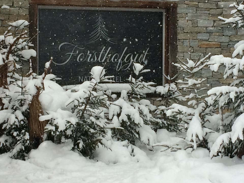 Sonstiges Naturhotel Forsthofgut