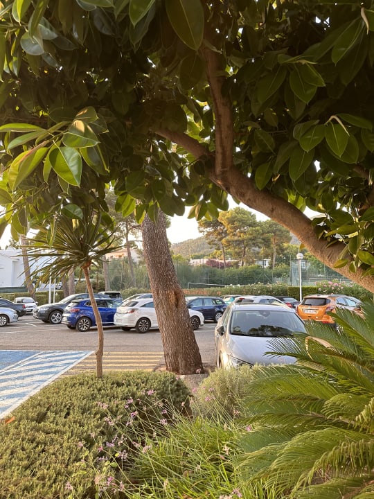 Sonstiges Hipotels Eurotel Punta Rotja Golf & Spa