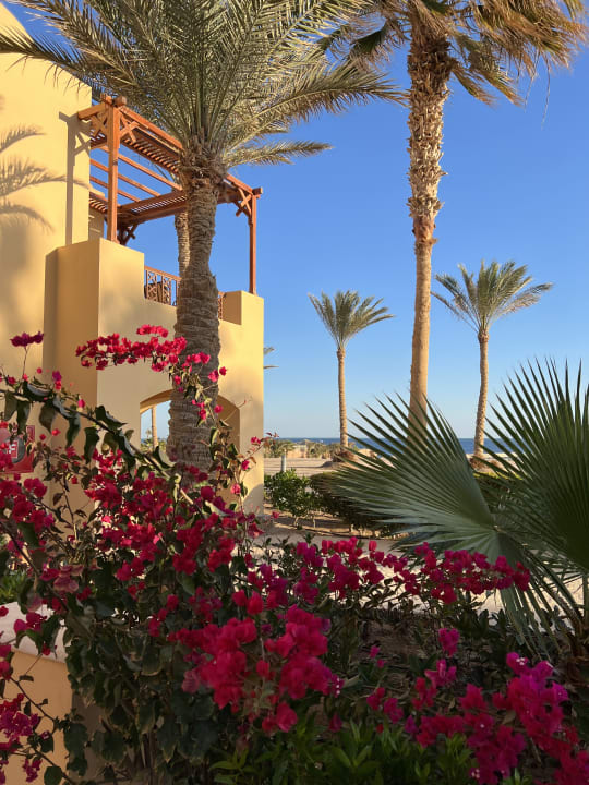 Ausblick Steigenberger Coraya Beach - Adults only