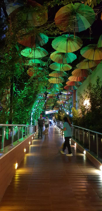 Gartenanlage Hane Family Resort