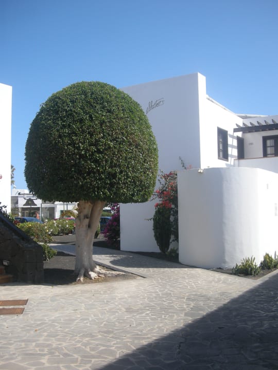 Die Anlage allsun App.-Hotel Albatros