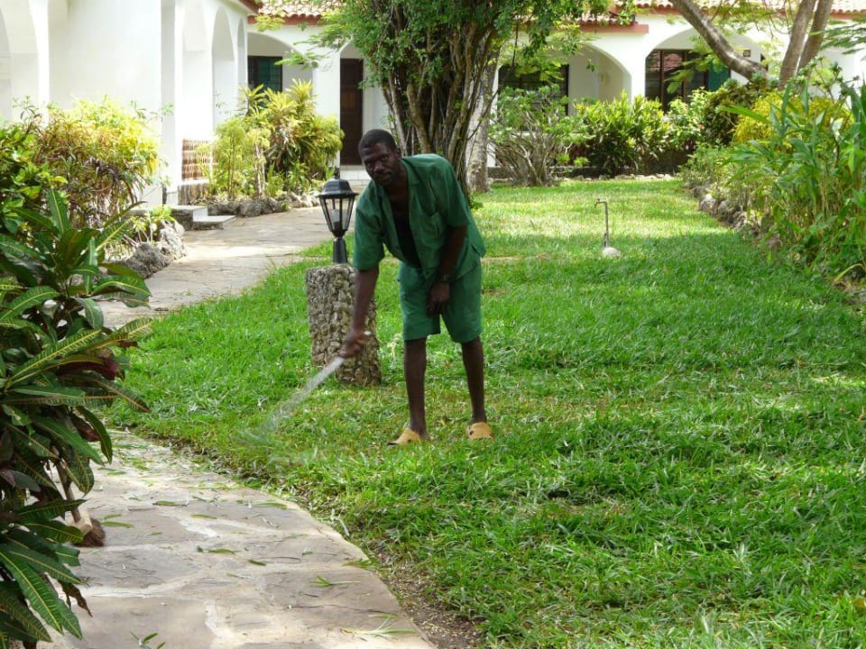 Gärtner beim "Rasenmähen" Hotel Diani Sea Lodge