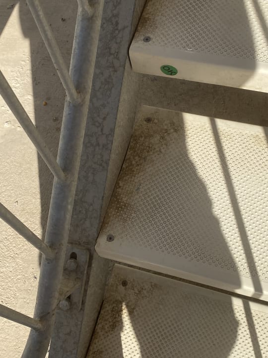 Sonstiges Maxeria Blue Didyma
