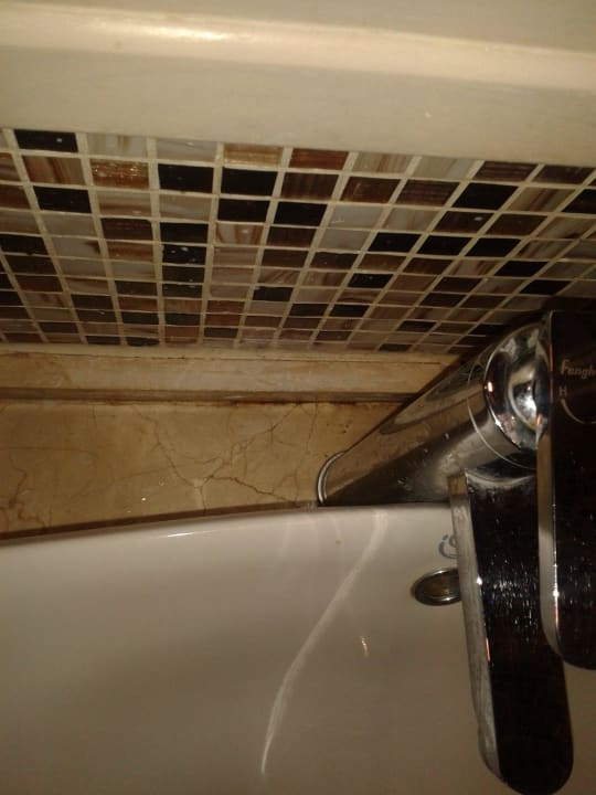 Schimmel Tropitel Sahl Hasheesh