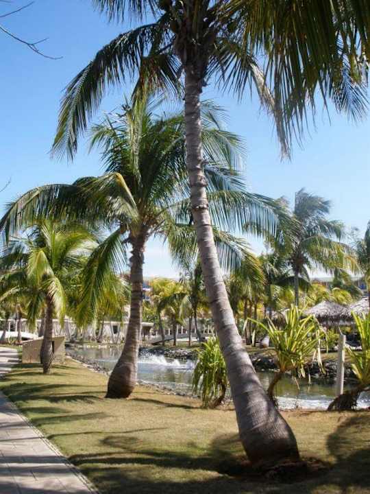 Gartenanlage Melia Las Antillas - Adults only