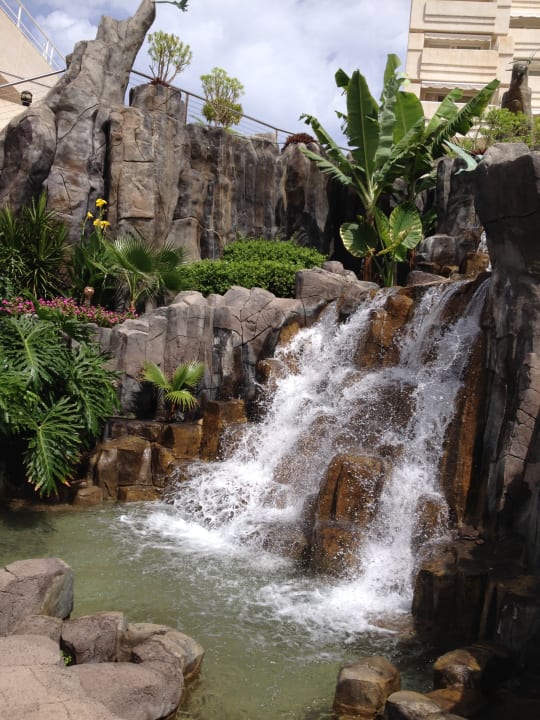 Gartenanlage Landmar Playa La Arena