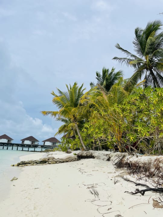 Strand Ellaidhoo Maldives by Cinnamon