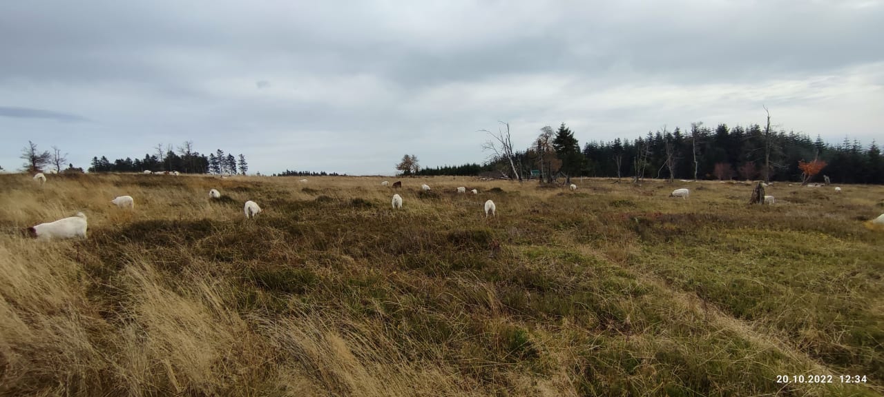 Ausblick Berghotel Hoher Knochen