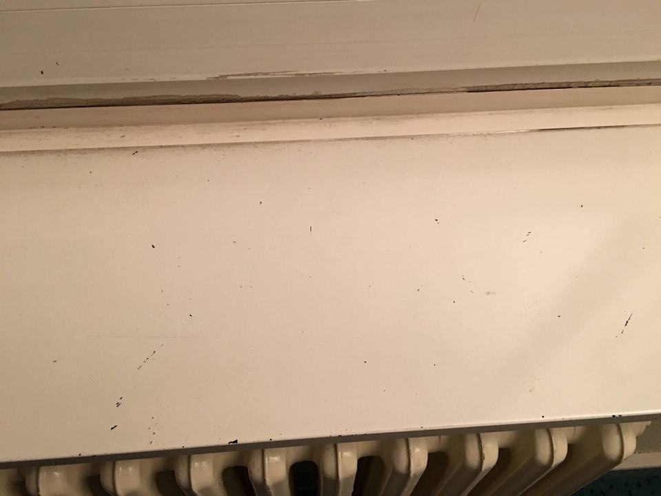 Fensterbrett  Mark Apart Hotel