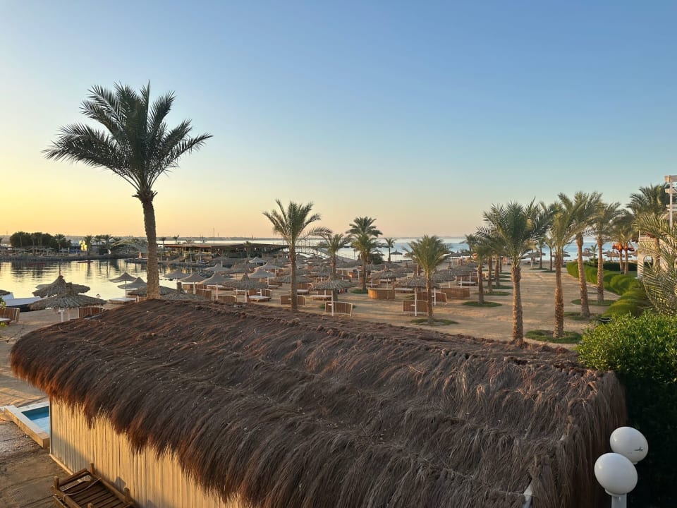 Ausblick Desert Rose