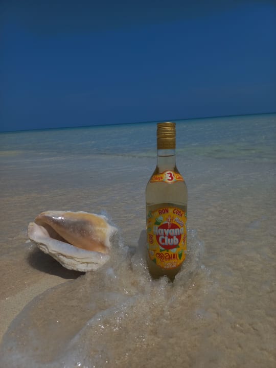 Strand Hotel Roc Casa Del Mar