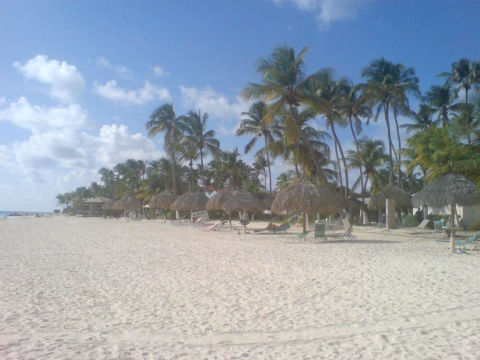 Traumstrand Divi Aruba All Inclusive