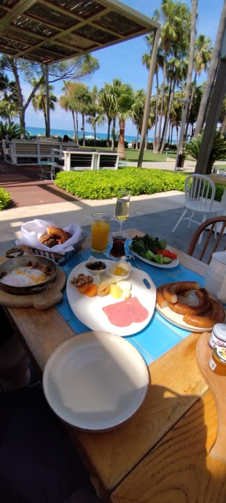 Gastro Acanthus Cennet Barut Collection