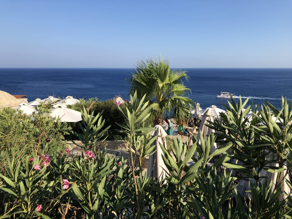 Ausblick Hotel Kalithea Horizon Royal