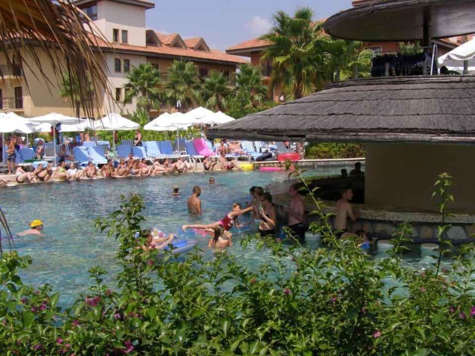 Frühsport an der Poolbar Club Grand Aqua