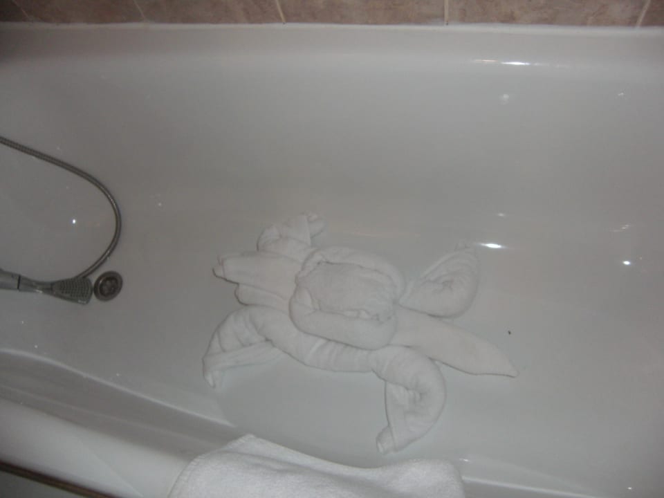 Zimmer Odessos Park Hotel